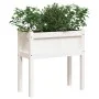 Jardineras exterior con patas 2 uds madera maciza pino blanco de , Maceteros y jardineras - Ref: Foro24-837557, Precio: 87,29...