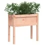 Jardinera con patas madera maciza de abeto Douglas 70x31x70 cm de , Maceteros y jardineras - Ref: Foro24-837560, Precio: 43,1...