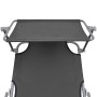 Tumbona plegable con toldo de acero gris de vidaXL, Tumbonas - Ref: Foro24-44291, Precio: 58,20 €, Descuento: %