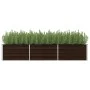 Arriate de acero galvanizado marrón 240x80x45 cm de , Maceteros y jardineras - Ref: Foro24-45714, Precio: 63,91 €, Descuento: %