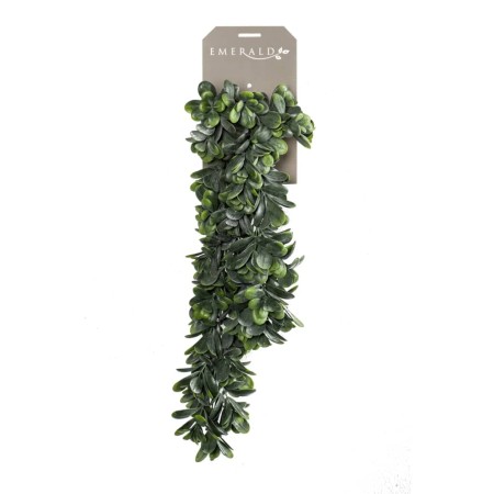 Emerald Planta Crassula artificial 80 cm de Emerald, Flora artificial - Ref: Foro24-423624, Precio: 25,03 €, Descuento: %