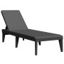 Tumbona de PP gris antracita 186x60x29 cm de , Tumbonas - Ref: Foro24-364219, Precio: 101,05 €, Descuento: %