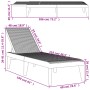 Tumbona de PP gris antracita 186x60x29 cm de , Tumbonas - Ref: Foro24-364219, Precio: 101,05 €, Descuento: %