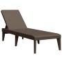 Tumbona de PP marrón 186x60x29 cm de , Tumbonas - Ref: Foro24-364217, Precio: 103,68 €, Descuento: %