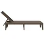 Tumbona de PP marrón 186x60x29 cm de , Tumbonas - Ref: Foro24-364217, Precio: 97,67 €, Descuento: %