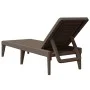 Tumbona de PP marrón 186x60x29 cm de , Tumbonas - Ref: Foro24-364217, Precio: 97,67 €, Descuento: %