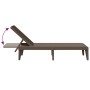 Tumbona de PP marrón 186x60x29 cm de , Tumbonas - Ref: Foro24-364217, Precio: 103,68 €, Descuento: %