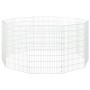 Jaula para conejos 10 paneles hierro galvanizado 54x80 cm de , Jaulas y habitáculos para animales pequeños - Ref: Foro24-1715...