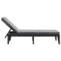 Tumbona con cojín PP gris antracita 186x60x29 cm de , Tumbonas - Ref: Foro24-364223, Precio: 146,51 €, Descuento: %