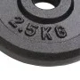 Discos de pesas de hierro fundido 8 piezas 2,5 kg de vidaXL, Peso libre - Ref: Foro24-91391, Precio: 86,27 €, Descuento: %