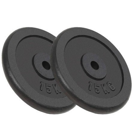 Discos de pesas de hierro fundido 2 uds 2x15 kg de vidaXL, Peso libre - Ref: Foro24-91396, Precio: 126,07 €, Descuento: %