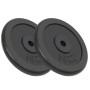 Discos de pesas de hierro fundido 2 uds 2x15 kg de vidaXL, Peso libre - Ref: Foro24-91396, Precio: 126,07 €, Descuento: %