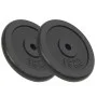 Discos de pesas de hierro fundido 2 uds 2x15 kg de vidaXL, Peso libre - Ref: Foro24-91396, Precio: 123,69 €, Descuento: %