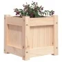 Jardinera madera maciza de pino 31x31x31 cm de , Maceteros y jardineras - Ref: Foro24-837394, Precio: 22,80 €, Descuento: %