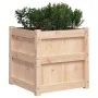 Jardinera madera maciza de pino 50x50x50 cm de , Maceteros y jardineras - Ref: Foro24-837414, Precio: 57,80 €, Descuento: %