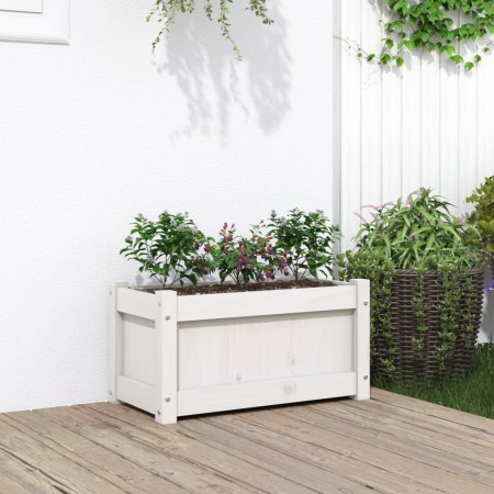 Jardinera de madera maciza de pino blanca 60x31x31 cm de , Maceteros y jardineras - Ref: Foro24-837441, Precio: 49,66 €, Desc...