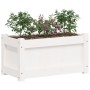 Jardinera de madera maciza de pino blanca 60x31x31 cm de , Maceteros y jardineras - Ref: Foro24-837441, Precio: 49,66 €, Desc...