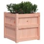 Jardinera madera maciza de abeto Douglas 50x50x50 cm de , Maceteros y jardineras - Ref: Foro24-837420, Precio: 55,01 €, Descu...