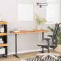 Tablero de escritorio rectangular madera acacia 110x60x2,5 cm de , Tableros para mesas - Ref: Foro24-370172, Precio: 101,10 €...