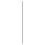 Espejo de pared vidrio rectangular 30x80 cm de , Espejos - Ref: Foro24-350444, Precio: 44,90 €, Descuento: %