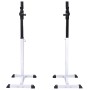 Soporte de pesas con pesas y mancuernas 30,5 kg de vidaXL, Máquinas de levantamiento de pesas - Ref: Foro24-275353, Precio: 1...