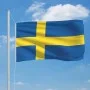 Bandera de Suecia 90x150 cm de , Banderas y mangas de viento - Ref: Foro24-146065, Precio: 13,78 €, Descuento: %