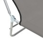 Tumbonas plegables 2 unidades acero y tela gris de vidaXL, Tumbonas - Ref: Foro24-44302, Precio: 80,24 €, Descuento: %