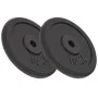 Discos de pesas de hierro fundido 2 uds 2x10 kg de vidaXL, Peso libre - Ref: Foro24-91394, Precio: 86,59 €, Descuento: %
