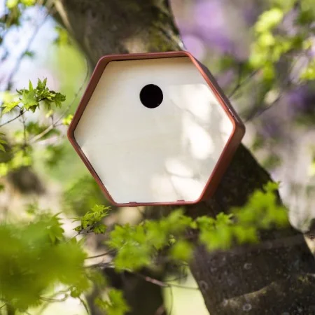 Capi Casita para pájaros Hive 1 agujero redondo marrón 19x23x20 cm de , Pajareras - Ref: Foro24-447494, Precio: 24,42 €, Desc...