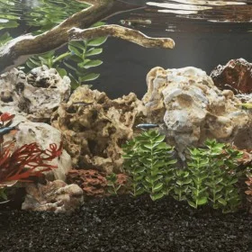 Gray dragon stones 10 kg 10-40 cm by , Aquarium decoration - Ref: Foro24-3217168, Price: 39,46 €, Discount: %