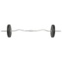 Juego de barras y pesas 30 kg de vidaXL, Peso libre - Ref: Foro24-91400, Precio: 116,31 €, Descuento: %
