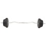 Juego de barras y pesas 30 kg de vidaXL, Peso libre - Ref: Foro24-91400, Precio: 116,31 €, Descuento: %