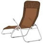 Tumbonas plegables 2 unidades textilene gris topo de vidaXL, Tumbonas - Ref: Foro24-44341, Precio: 133,97 €, Descuento: %