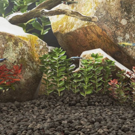 Rocas volcánicas negras 10 kg 5-8 cm de , Decoración de acuarios - Ref: Foro24-3217184, Precio: 34,88 €, Descuento: %