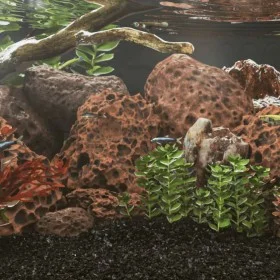 Rocas volcánicas rojas 10 kg 10-30 cm by , Aquarium decoration - Ref: Foro24-3217186, Price: 39,88 €, Discount: %