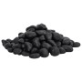 Guijarros pulidos negros 25 kg 2-5 cm de , Decoración de acuarios - Ref: Foro24-3217191, Precio: 65,65 €, Descuento: %