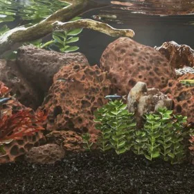 Red volcanic rocks 25 kg 10-30 cm by , Aquarium decoration - Ref: Foro24-3217187, Price: 73,64 €, Discount: %