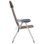 Sillas de camping plegables 2 unidades aluminio marrón de vidaXL, Mobiliario de camping - Ref: Foro24-44310, Precio: 134,49 €...