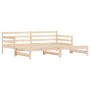 Sofá cama nido madera maciza de pino 90x200 cm de , Camas y somieres - Ref: Foro24-836147, Precio: 157,53 €, Descuento: %