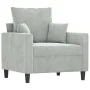 Sillón de terciopelo gris claro 60 cm de , Sofás - Ref: Foro24-359283, Precio: 140,59 €, Descuento: %