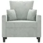 Sillón de terciopelo gris claro 60 cm de , Sofás - Ref: Foro24-359283, Precio: 140,59 €, Descuento: %
