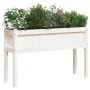 Jardinera con patas madera maciza de pino blanco 110x31x70 cm de , Maceteros y jardineras - Ref: Foro24-837566, Precio: 75,96...