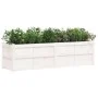 Jardinera de madera maciza de pino blanca 180x50x50 cm de , Maceteros y jardineras - Ref: Foro24-837505, Precio: 184,17 €, De...
