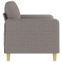 Sofá de 2 plazas de tela gris taupé 120 cm de , Sofás - Ref: Foro24-359477, Precio: 215,17 €, Descuento: %