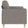 Sofá de 2 plazas de tela gris taupé 140 cm de , Sofás - Ref: Foro24-359485, Precio: 226,96 €, Descuento: %