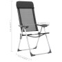 Sillas de camping plegables de aluminio 2 unidades negro de vidaXL, Mobiliario de camping - Ref: Foro24-44305, Precio: 135,19...