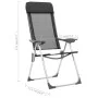 Sillas de camping plegables de aluminio 2 unidades negro de vidaXL, Mobiliario de camping - Ref: Foro24-44305, Precio: 132,80...