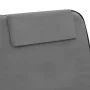 Estera de playa plegable 2 unidades acero y tela gris de vidaXL, Tumbonas - Ref: Foro24-44330, Precio: 54,67 €, Descuento: %