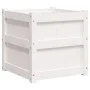 Jardinera madera maciza de pino blanco 50x50x50 cm de , Maceteros y jardineras - Ref: Foro24-837416, Precio: 61,54 €, Descuen...