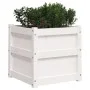 Jardinera madera maciza de pino blanco 50x50x50 cm de , Maceteros y jardineras - Ref: Foro24-837416, Precio: 61,54 €, Descuen...
